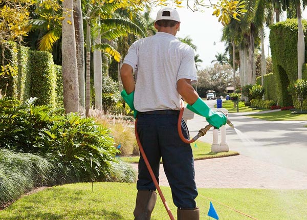 About Riceville IA Pest Control